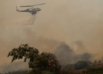 Δεύτερη ημέρα της πυρκαγιάς στο νησί της Χίου, Δευτέρα 23 Ιουνίου 2025. Στα μέτωπα της φωτιάς επιχείρησαν 190 πυροσβέστες - ανάμεσά τους 11 ομάδες πεζοπόρων - 38 οχήματα και 4 εναέρια μέσα, υδροφόρες και μηχανήματα έργου από τον Ελληνικό Στρατό και την Τοπική Αυτοδιοίκηση.  
(ΚΩΣΤΑΣ ΑΝΑΓΝΩΣΤΟΥ/EUROKINISSI)