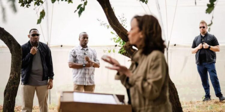 Analizë nga BBC: Pse Trump e ndaloi mbrojtjen nga Shërbimi Sekret për Kamala Harris?