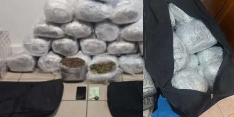 Arrestohet shqiptari në Selanik me 22 kg marihuanë dhe cigare kontrabandë