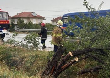 Moti i keq 'kaplon' vendin, ende probleme me pemët e thyera dhe rrugët e bllokuara në Maliq