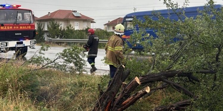 Moti i keq 'kaplon' vendin, ende probleme me pemët e thyera dhe rrugët e bllokuara në Maliq
