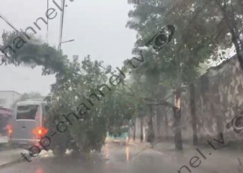 Video/ Stuhi e fuqishme shemb pemët në kryeqytet! Trafiku i bllokuar në disa zona