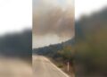 Zjarr i madh në fshatin Vajzë të Selenicës, përfshihen ullishte dhe pemëtari të mëdha.