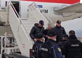127 arrestime për ekstradim: 90 shqiptarë dhe 37 të huaj që nga janari, me trafikun e drogës si krimin kryesor