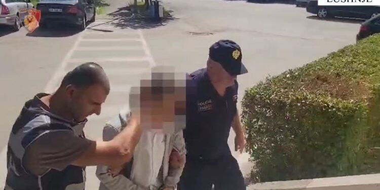 24-vjeçari në Fier arrestohet për pornografia me të mitur, zbulohet çfarë u gjet në shtëpi