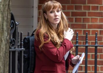 Angela Rayner: Si skandali i taksave ndikoi në imazhin e saj, nga nëna e re në moshën 16-vjeçare deri te djali i sëmurë