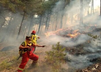 Bilanci i dëmeve nga zjarri në Skënderbegas: 68 shtëpi të shkatërruara, 10 totalisht, dhe 215 kafshë të ngordhura.