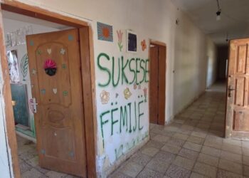 Dikur 400 nxënës, tani vetëm 5: Drizari në Mallakastër, fshati që po zhduket për shkak të mungesës së fëmijëve.
