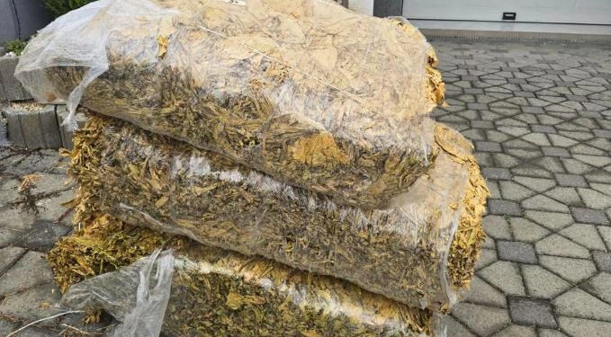 Dy vende të identifikuara për grumbullimin e mallrave kontrabandë, zbulohet qindra kilogramë duhan.