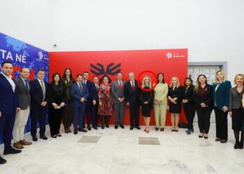 FOTOLAJM: Anxhela Paparizo, e sapoemëruar drejtoreshë e QSUT, u prit nga Berisha në zyrë gjatë kohës që ai thuhej se drejtonte Këshillin e Diasporës.