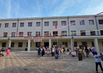Fier: 2000 nxënës fillojnë për herë të parë mësimin, programi “Art, zeje, sport” zgjerohet me 16 institucione të tjera publike.