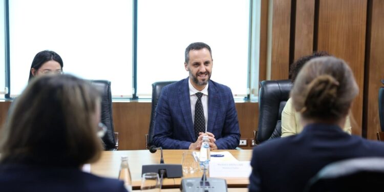Kodi i ri Penal: Lamallari priti përfaqësuesit e Këshillit të Europës për një proces konsultimi të hapur dhe gjithëpërfshirës.