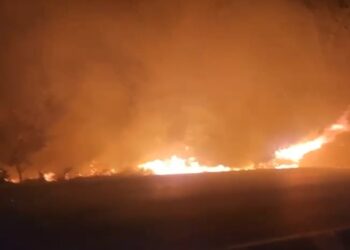 Kodi i ri Penal parashikon dënime nga 4 deri në 10 vite burg për zjarrvënien, Manja: Ndëshkohen ata që prekin zonat e mbrojtura apo objektet e trashëgimisë kulturore