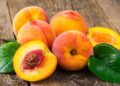 Kroacia ndalon ngarkesën me fruta nga Shqipëria për shkak të metaleve të niklit në pjeshkë