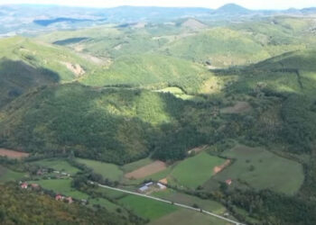 Më shumë se 5.3 milionë euro humbje në pyje gjatë vitëve 2020-2023