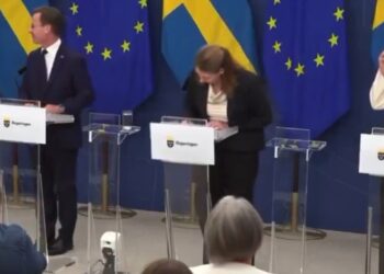 Ministrja e Re e Shëndetësisë në Suedi pëson ndjenjash gjatë konferencës për shtyp dhe godet kokën në podium.
