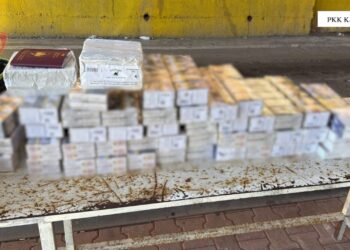 Pasaporta të falsifikuara dhe kontrabandë cigare, disa të arrestuar dhe të proceduar në Korçë