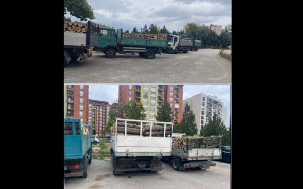 Plani "Mbrojtja e Pyjeve": Gjashte kamionë me dru të sekuestrosur në Ferizaj