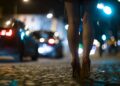 Prostitucioni: Të dhëna në mbështetje të legalizimit për të luftuar përhapjen e sëmundjeve infektive.
