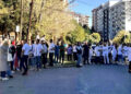 Protesta në Mitrovicën e Veriut, Ellek: Shëndetësia dhe arsimi si pikë të kuqe