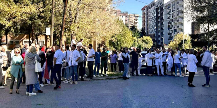 Protesta në Mitrovicën e Veriut, Ellek: Shëndetësia dhe arsimi si pikë të kuqe