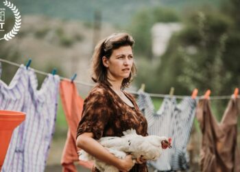 Shfaqja e filmit në shqip në Podgoricë pezullohet/ Organizatat joqeveritare reagojnë: Sulm ndaj lirisë së shprehjes artistike në vendin ku shqipja është gjuhë zyrtare