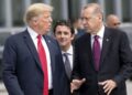 Takimi i Trump me Ergodan në Shtëpinë e Bardhë: Shtetet Bashkuara dhe Turqia po afrohen për një armëpushim në Gaza
