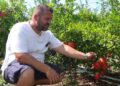 Tregu i Mrekullive: Historia e Emigrantit nga Luzi i Vogël që Shes Produktet Bio në Europë