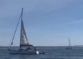Video/ Momente alarmuese në bregdetin e Portugalisë, balena vrasëse godet varkën turistike dhe e fundos atë.