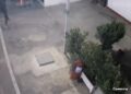 Vjedhje në një karburant në Elbasan, autorët e maskuar fitojnë të ardhurat e ditës