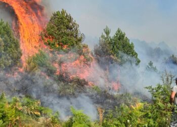 Zjarri shkatërroi disa fshatra në Gramsh, bashkisë i jepet një fond ndihme prej 3 milion lekësh.
