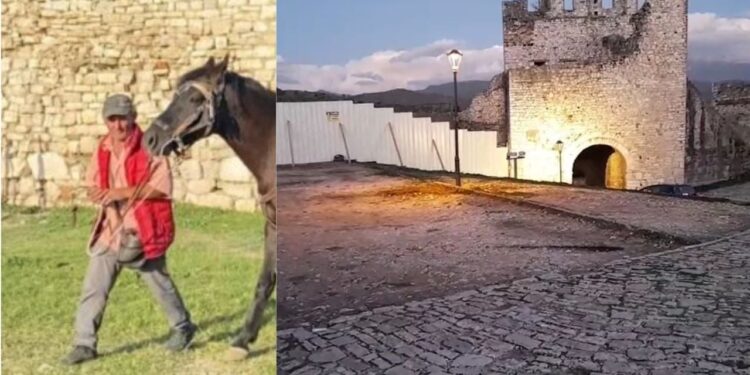 42-vjeçari vret për shkak të fotograferive me fëmijët dhe kalin, autori mbetet në burg dhe shpreh pendesë në gjykatë