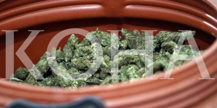 5 kg marihuanë e gjetur në shtëpi, kërkohet paraburgimi i të dyshuarit në Gjakovë