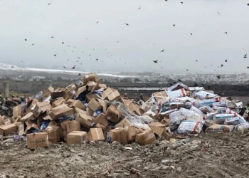 AUV-i fillon asgjësimin e mbi 35 mijë kilogramëve peshk.