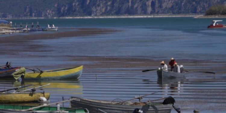 Aktivizëm Ndërkufitar: Shqiptarë, Grekë dhe Maqedonas Bashkë për Ruajtjen e Prespës