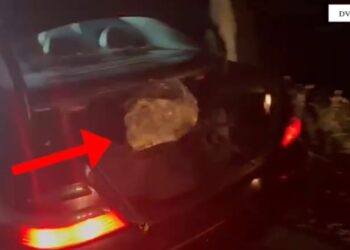 Arrestohet 46-vjeçari në Korçë për transportin e 16 kg lëndëve narkotike drejt Greqisë, në kërkim edhe të bashkëpunëtorit të tij