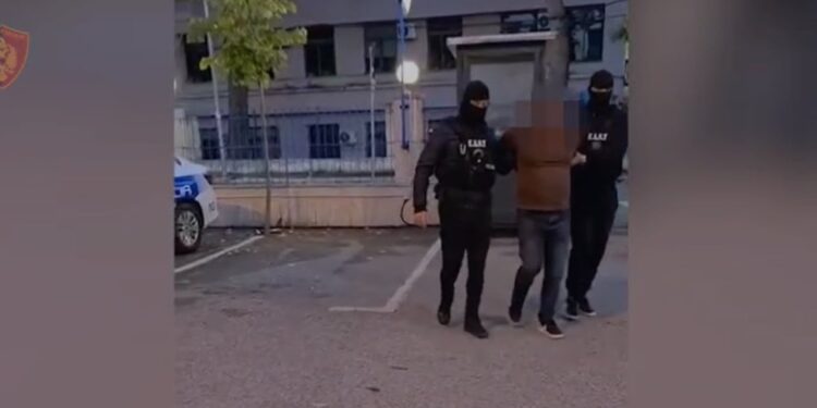 Arrestohet në Tiranë një 49-vjeçar nga Kosova për kultivim droge.