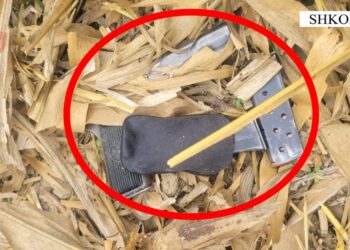 Babë e bir në pranga për kërcënim fqinjësh me armë zjarri, arma e gjetur në vendngjarje.