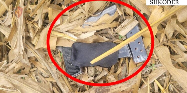 Babë e bir në pranga për kërcënim fqinjësh me armë zjarri, arma e gjetur në vendngjarje.