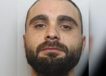 Britanik ndaj shqiptarit: E turpshme që nuk punoni në Shqipëri, por jeni të përfshirë në krim këtu.