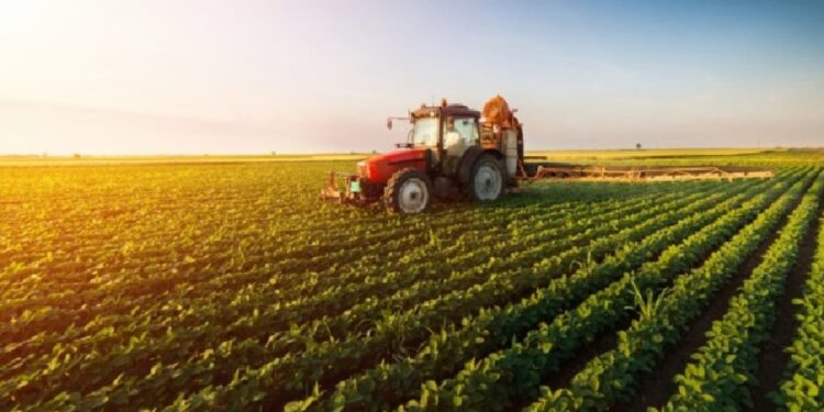 Bujqësia në nevojë për mbështetje financiare/ Skandali me fondet e IPARD ka reduktuar subvencionet, ekspertët: Buxheti duhet të mbulojë nevojat.