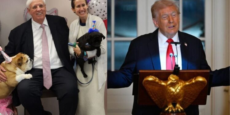 Darka luksoze dhe festat për qenët e senatorëve: Jeta përditshmërisht e presidentit Trump dhe anëtarëve të Kongresit gjatë mbylljes së qeverisë.