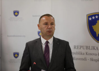 Deputeti Zemaj angazhohet në një përleshje fizike