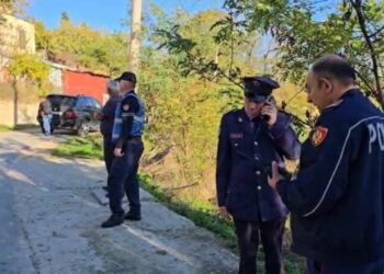 Djali dëshmon për vrasjen e babait: "Nuk më lejonte të haja i qetë, nuk e di si ndodhi, mora thikën dhe..."
