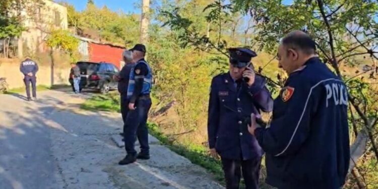 Djali dëshmon për vrasjen e babait: "Nuk më lejonte të haja i qetë, nuk e di si ndodhi, mora thikën dhe..."