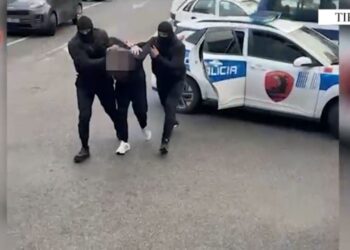 Droga dhe armë gjahu, dy të arrestuar në aksin "Nikël-Fushë Krujë", sekuestruan 10 kg kanabis