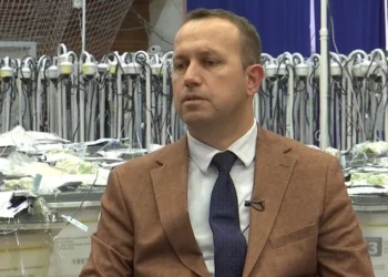 Elezi: Zgjedhjet nga diaspora nuk kanë mbërritur ende në Kosovë