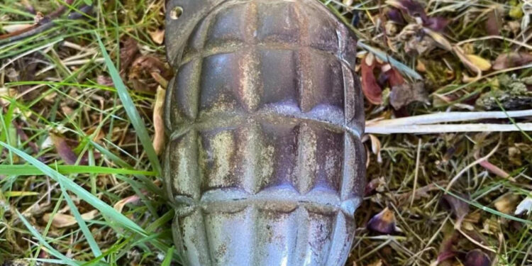 Gjeta një granatë në një fermeri në Plemetin.