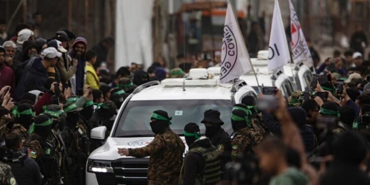 Izraeli njofton lajm të mirë: Penguins e mbijetuar do të çreleasedhen në orët e para të së hënës.