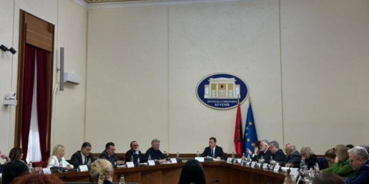 Komisionet për reformën zgjedhore dhe territoriale, TCH publikohet lista e anëtarëve.